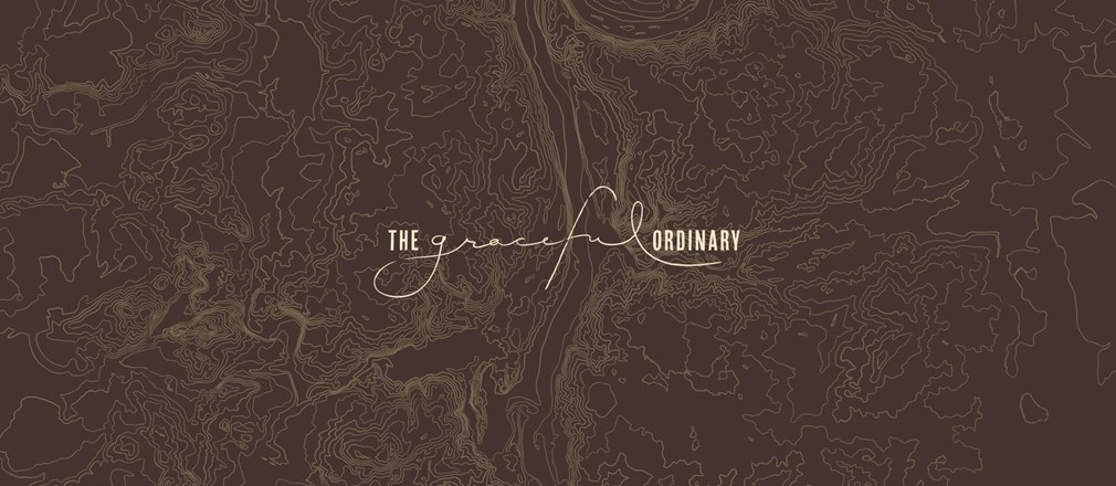 The Graceful Ordinary logo